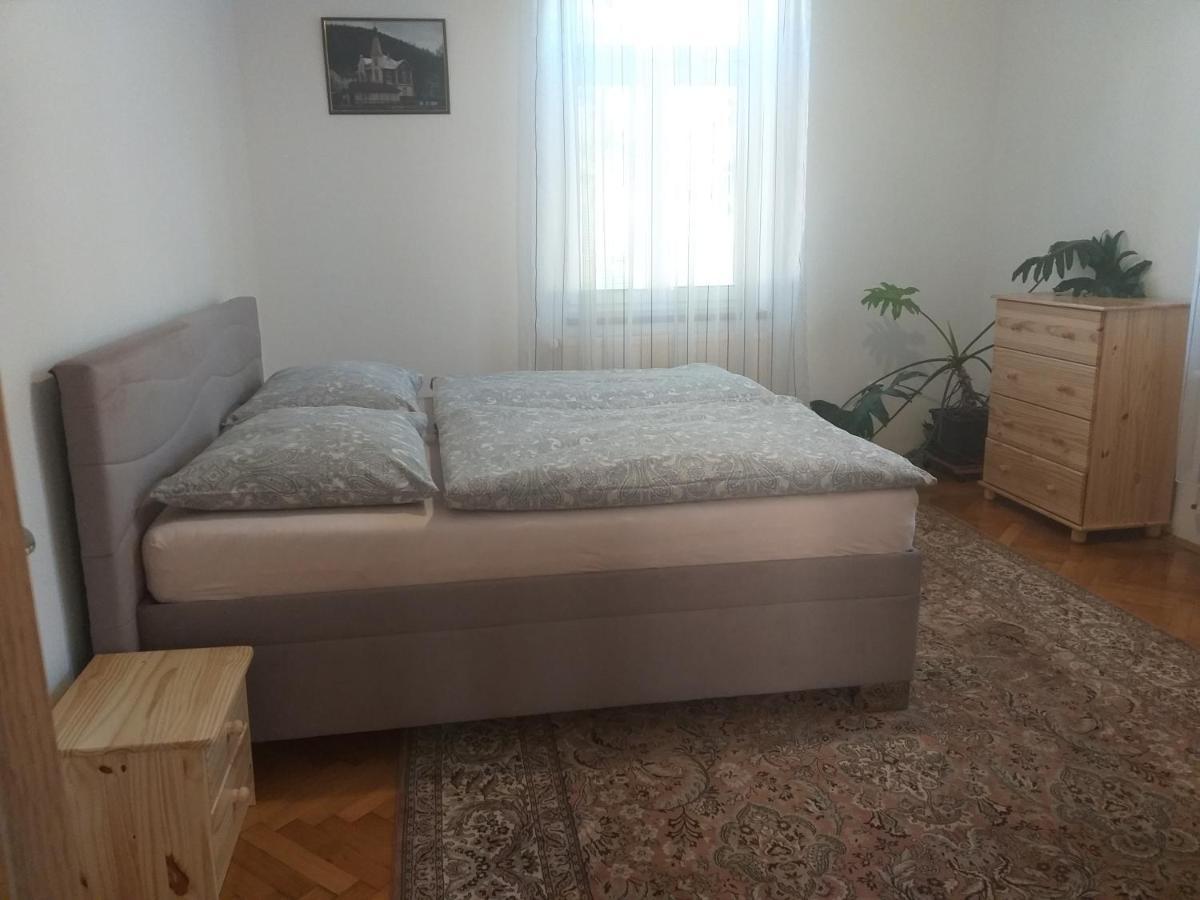 Apartmán Kraslice Kültér fotó